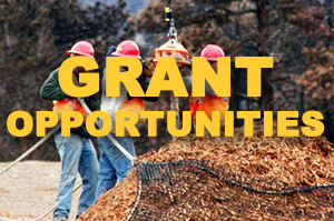 grant-opportunities