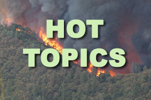 hot-topics