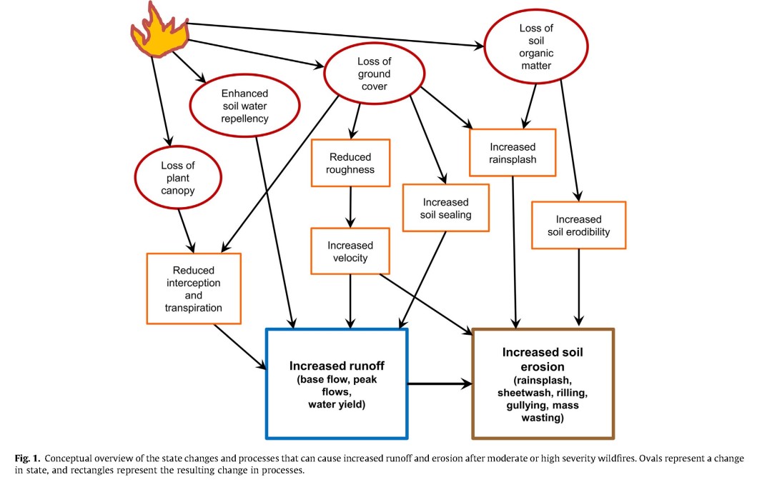 Study: Effects of post-fire salvage logging . . . . J. Wagenbrenner, et al.