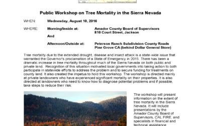 Tree Mortality Workshop and Field Trip scheduled for August 10
