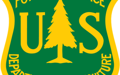 El Dorado National Forest:  Larger Dead Trees can be Removed with Woodcutting Permits