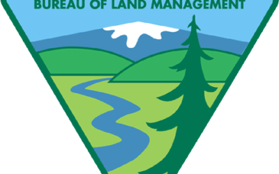 BLM Forms Tree Mortality Fire Prevention and Education Team
