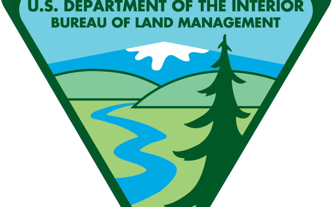 Job Opportunity: BLM Motherlode Field Office, Assistant Field Manager