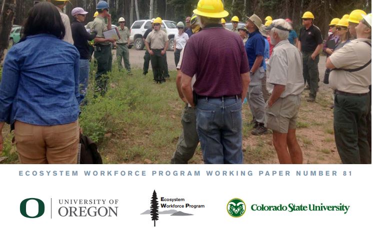 New Report: Strategies for Success Under Forest Service Restoration Authorities
