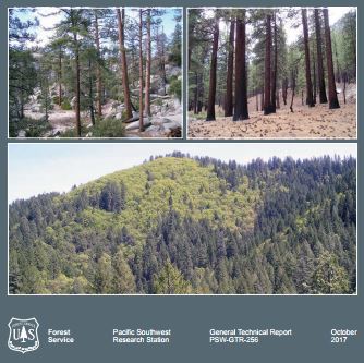 New Report: Natural Range of Variation for Yellow Pine and Mixed Conifer Forests in the Sierra Nevada