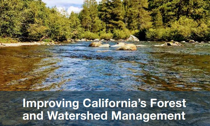 New Report: Improving California’s Forest and Watershed Management