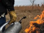 Great Video — Restoration in a Fire Forest: The Benefits of Burning