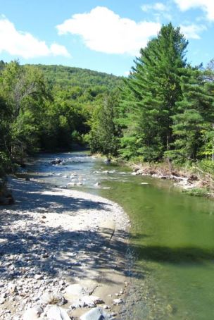 New! California Forest Carbon Plan just released