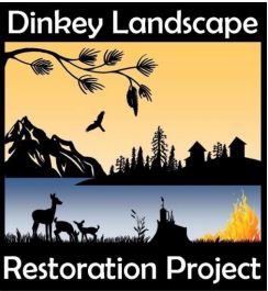 Dinkey Collaborative Forest Landscape Restoration Project