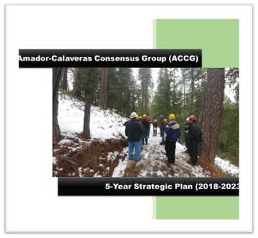 New! ACCG 5-Year Strategic Plan Adopted July 18th