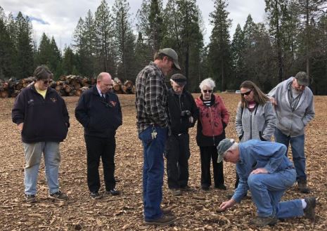 Local experts tackle replanting in Butte Fire footprint