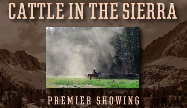 Movie Premier! Cattle in the Sierra