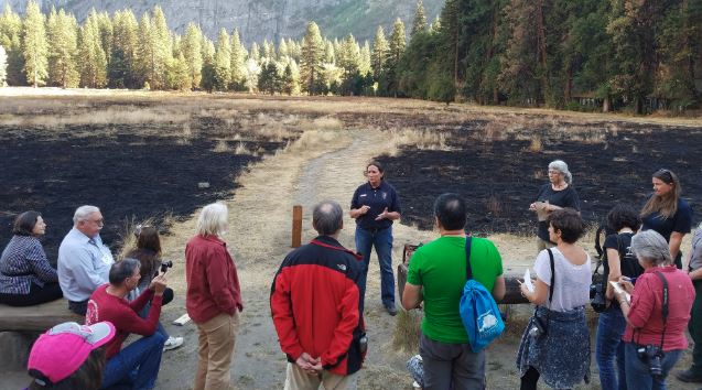 Why the Ferguson Fire Didn’t Destroy Yosemite West: 15 Years of Wildfire Mitigation Generates a California Wildfire Success