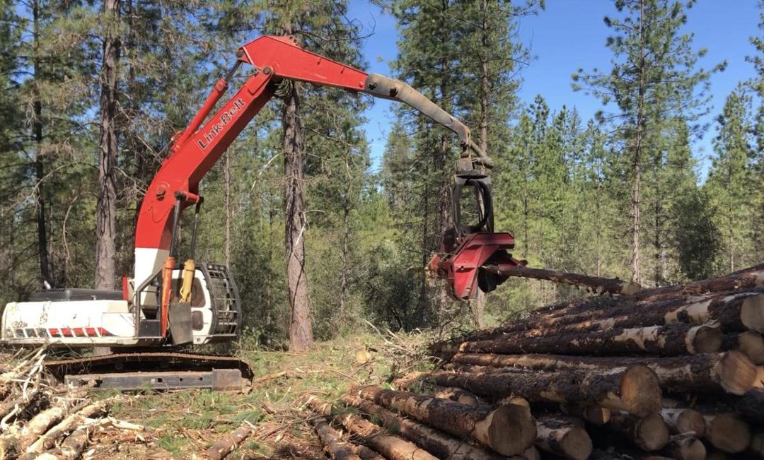 Forest thinning project near Glencoe breaks ground