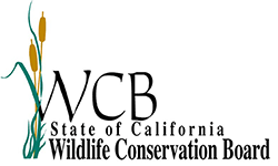 WCB Wildlife Corridor And Fish Passage Projects — 2021 Proposal Solicitation Notice