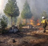 2019 Prescribed Fire on Private Lands Workshops — Two Dates