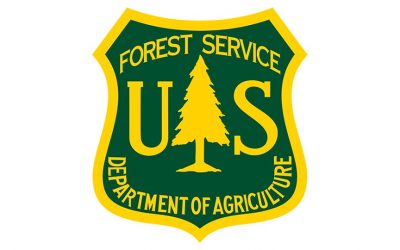 Temporary Forest Service Job Opportunity