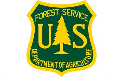 Public Input Opportunity: Forest Projects Plan Phase 1, ENF Amador Ranger District