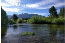 Bird response to hydrologic restoration of montane riparian meadows