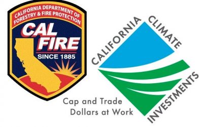 CAL FIRE Fire Preventions Grants Program On Hold