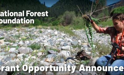 National Forest Foundation 2021 Matching Awards Program Nationwide Grant Opportunity