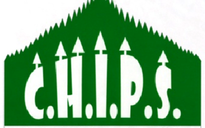 CHIPS Job Announcements: Executive Director & Finance Director