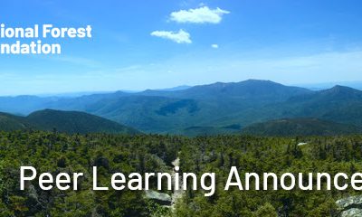 Peer Learning Session Feb. 17th: Working with National Forest Foundation