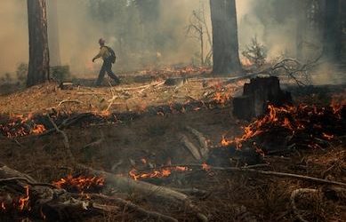 More ‘good fire’ could help California control future catastrophes